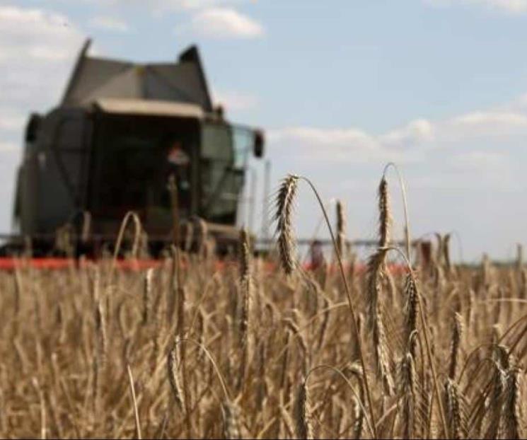 Ucrania lista para exportar granos