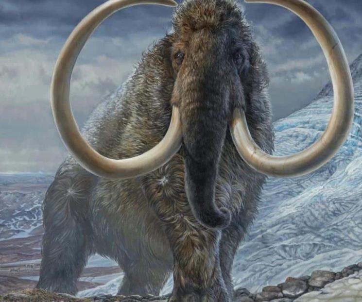 Científicos reavivan células de mamuts