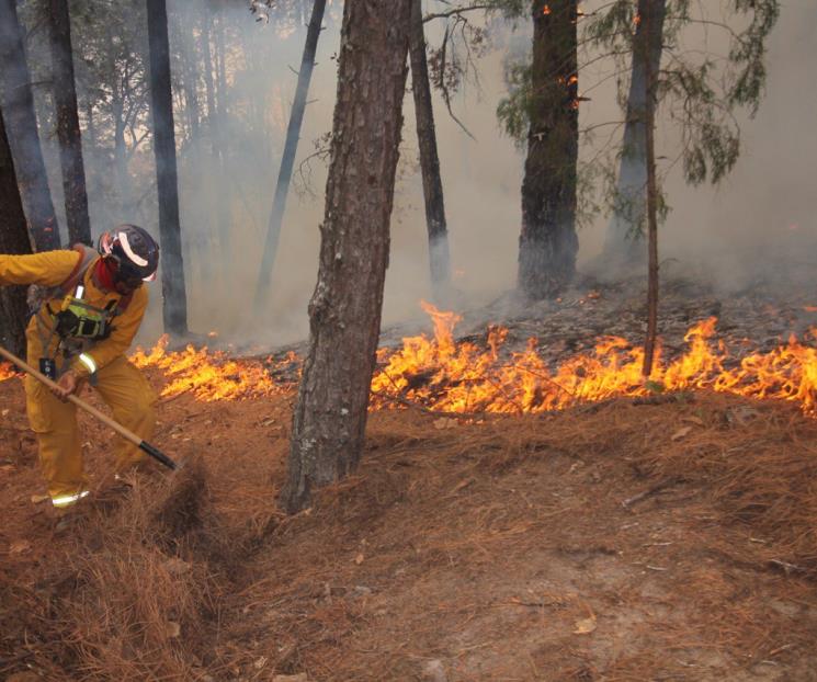 Buscan prevenir incendios forestales
