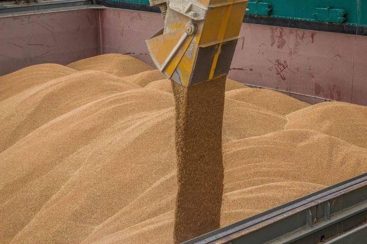 Comprará EU trigo ucraniano para países africanos