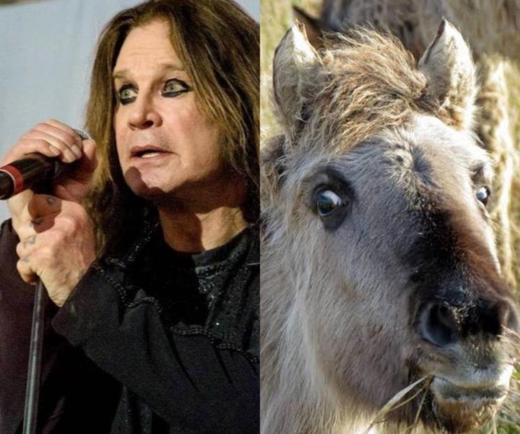 Ozzy Osbourne dejó las drogas tras hablar con un caballo