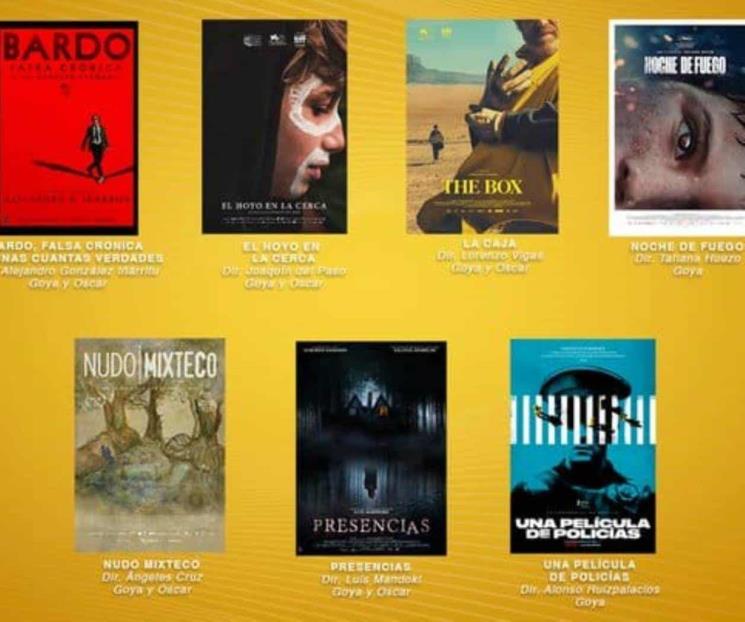 Estas películas quieren representar a México en los Oscar