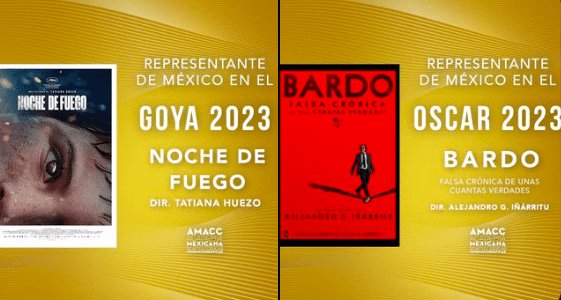 Noche de Fuego y Bardo competirán por el Goya y el Óscar