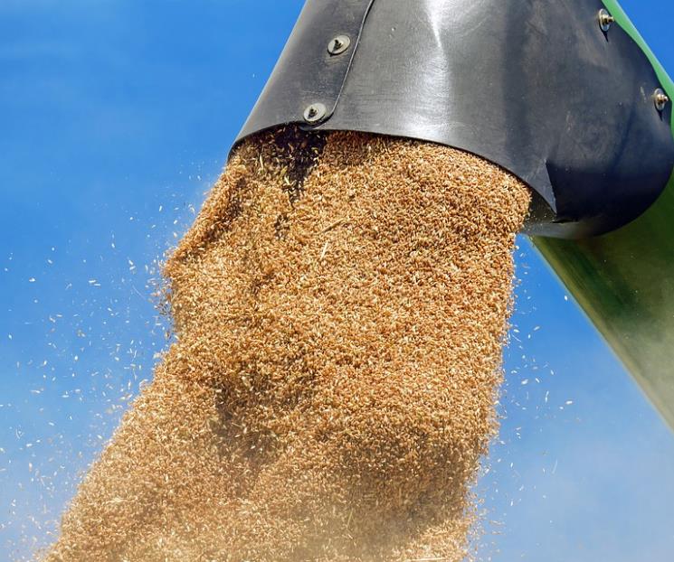 Rusia suspende acuerdo de exportación de grano ucraniano