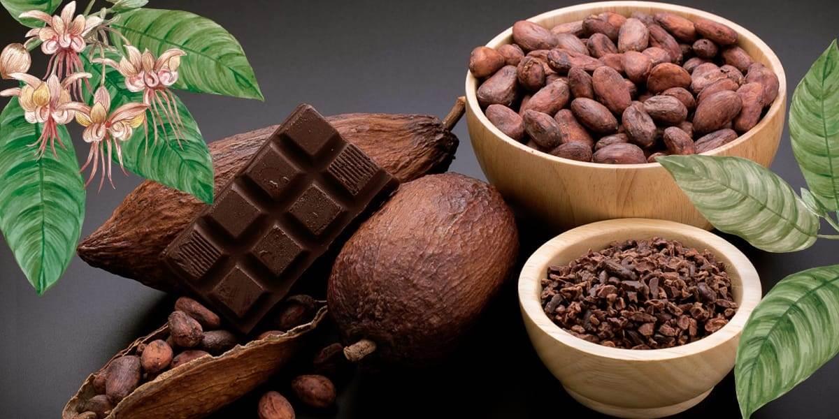 Invitan al Festival Del Cacao al Chocolate