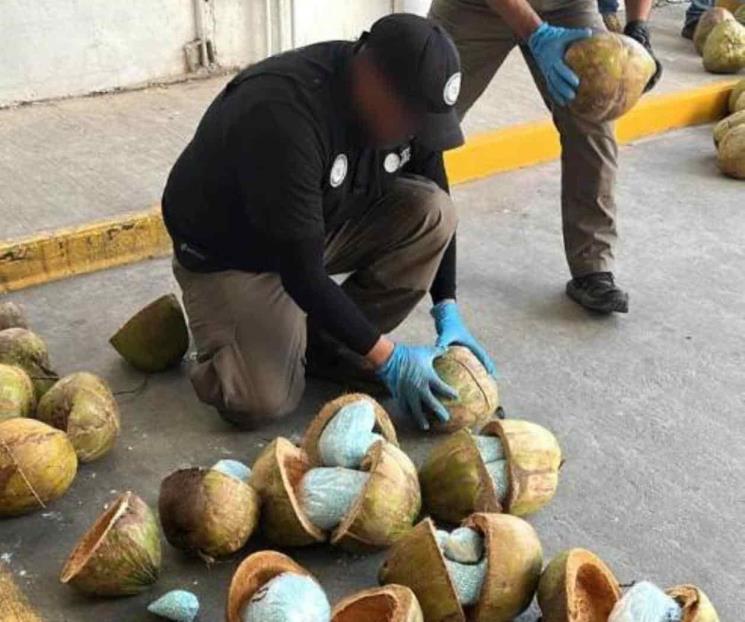 Incautan 300 kilos de fentanilo ocultos en camión de cocos