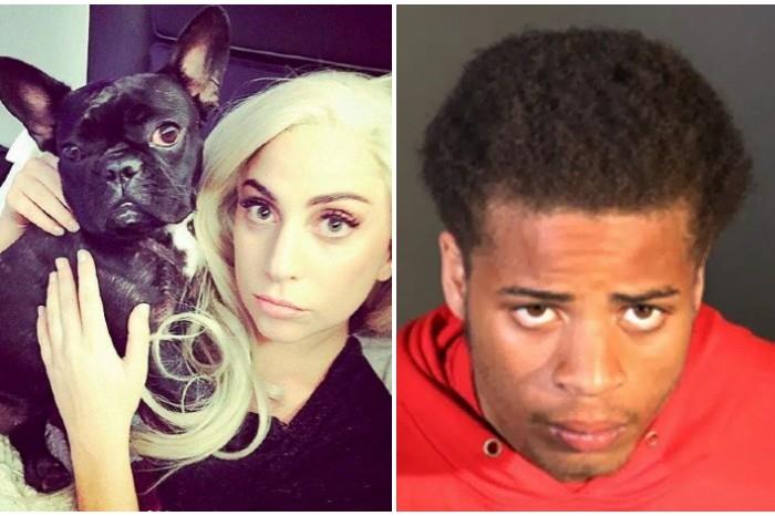 Le dan 21 años de cárcel al ladrón de perros de Lady Gaga