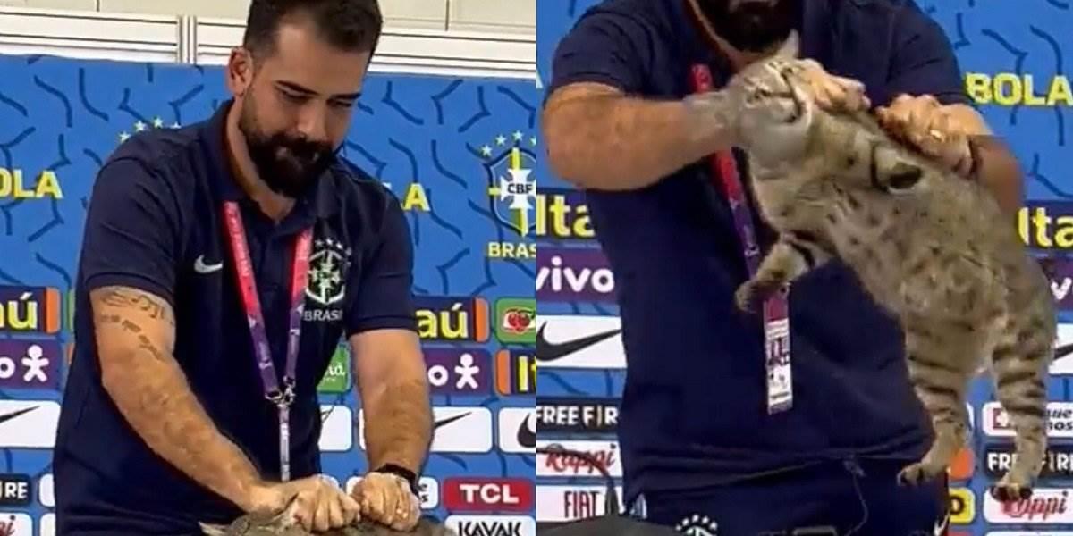 Demandan a Confederación Brasileña por maltrato a gato