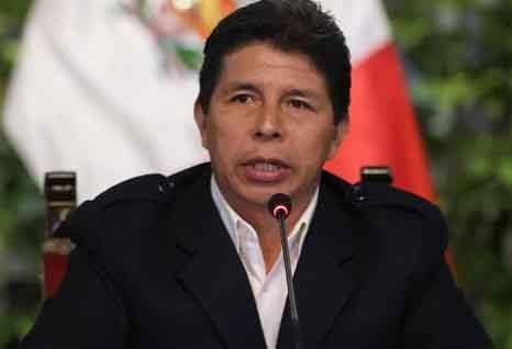 Pedro Castillo pide a la CIDH que interceda por sus derechos