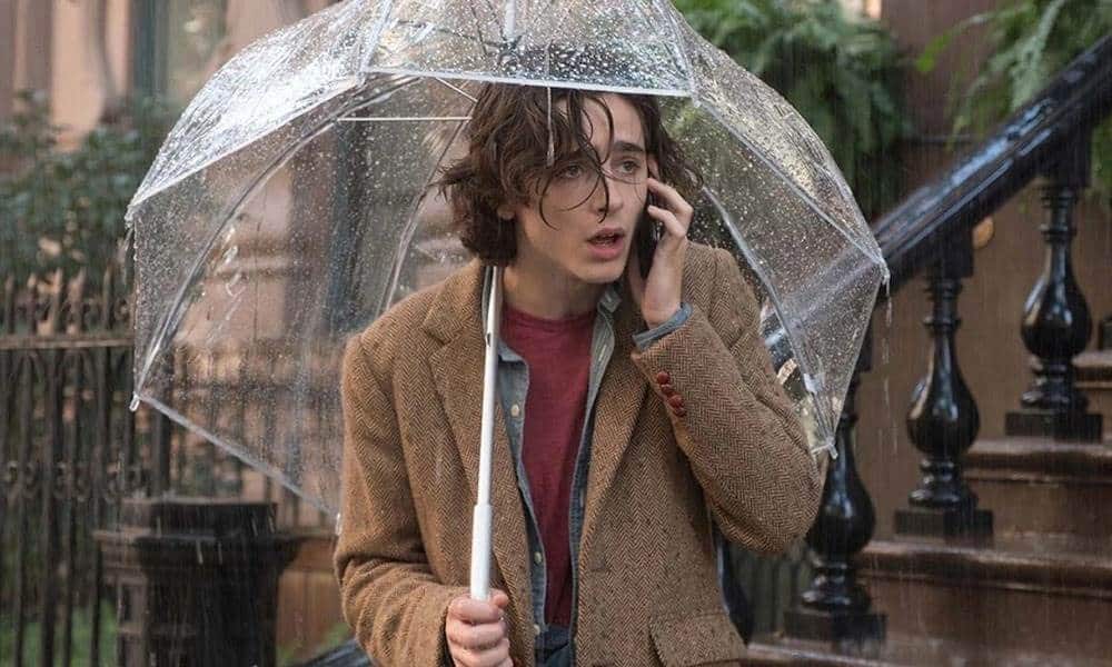 Ese fue un periodo fructífero para Chalamet, pues también apareció en la cinta de Woody Allen, A Rainy Day in New York