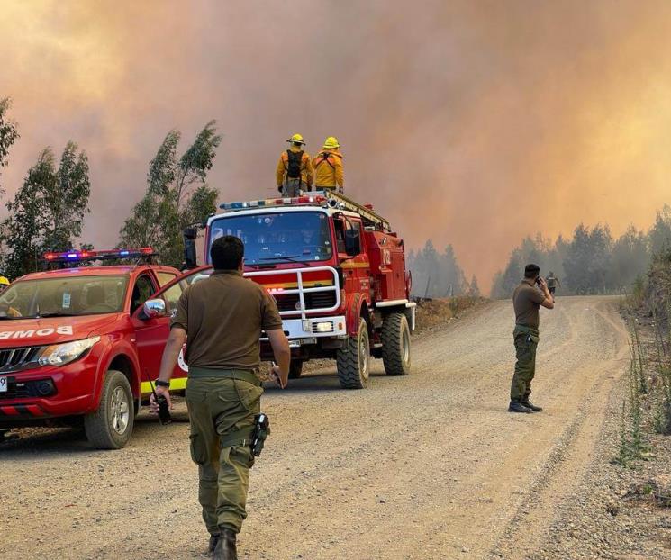 Mueren 13 por incendios forestales en Chile