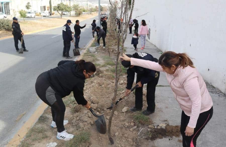 Se “arman” con palas para reforestar