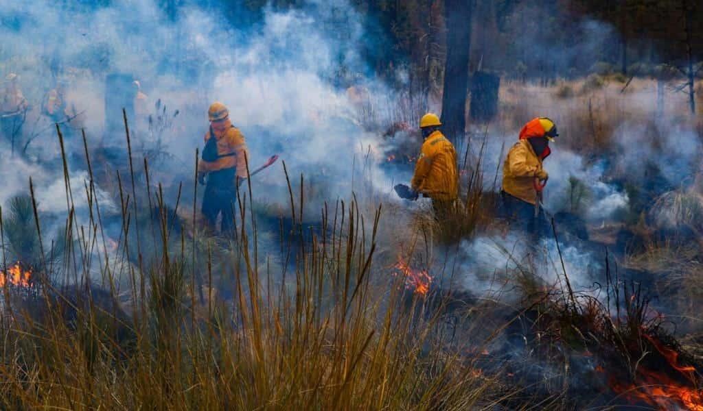 Contagia a sus alumnos el amor por la naturaleza