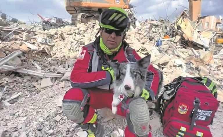 Perro Balam encontró una persona bajo escombros en Turquía