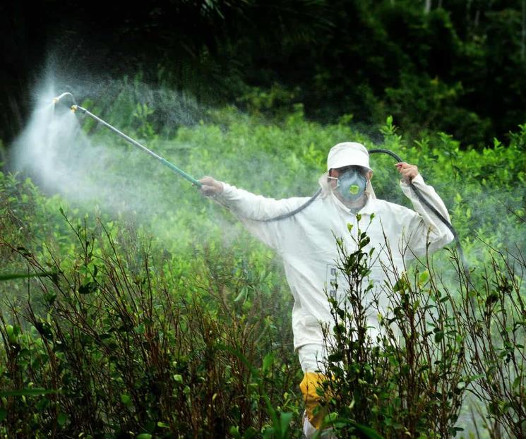 Aplazan prohibición de glifosato