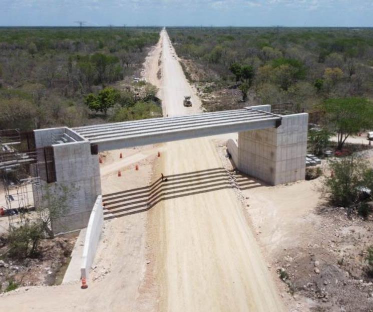 Despreocupa suspensión de tramo 5 del Tren Maya