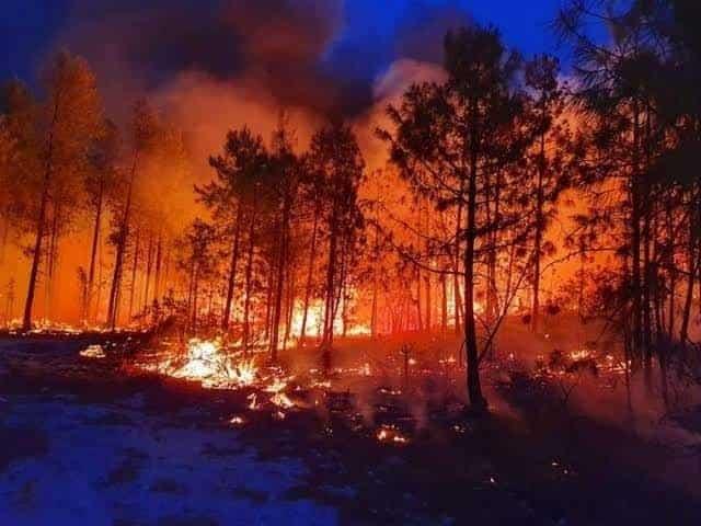 Aseguran que los 6 incendios simultáneos fueron provocados