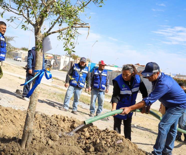 Construyen un Pesquería más verde y limpio