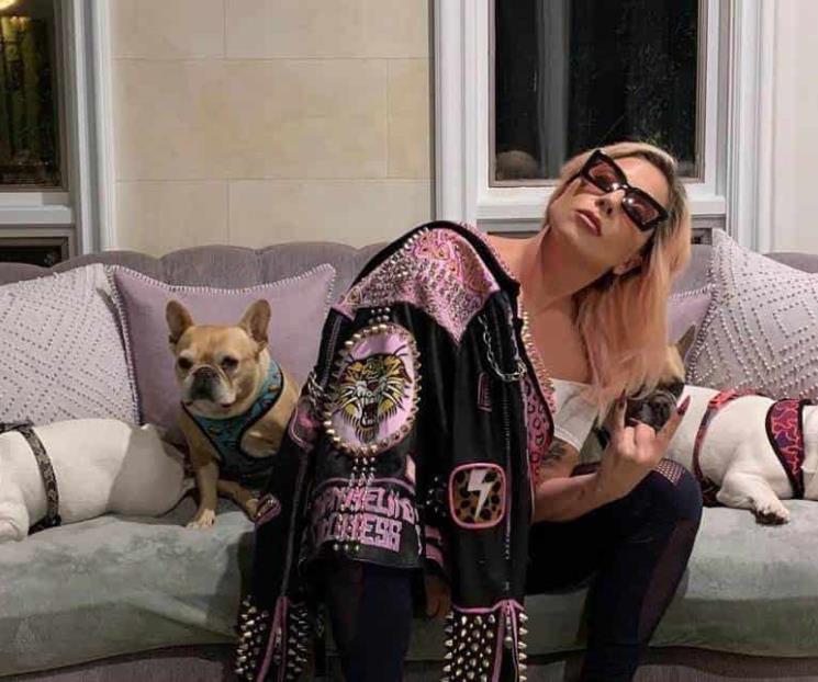 Demandan a Lady Gaga por no pagar rescate de sus perros