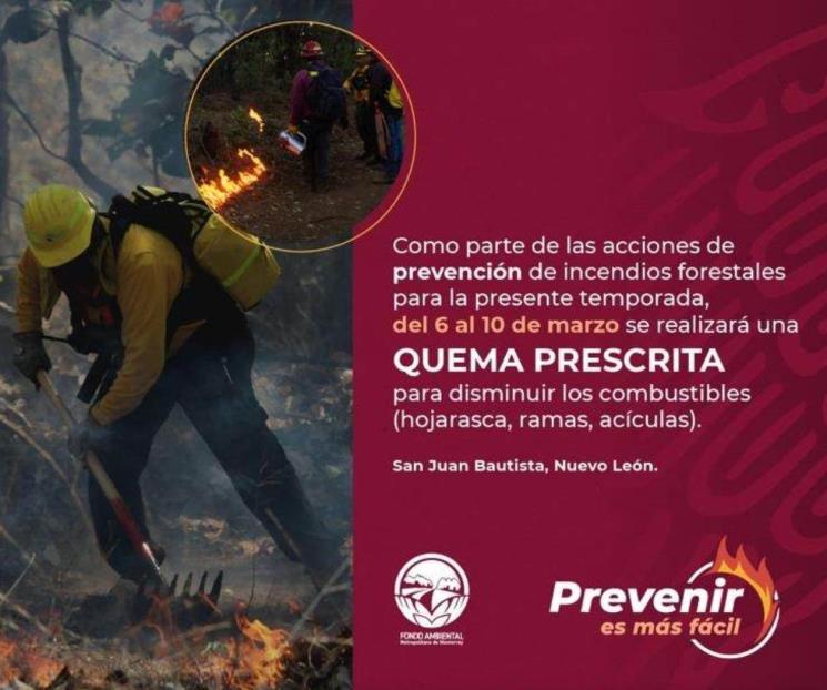 Hará Santiago quema prescrita en el Parque Nacional Cumbres