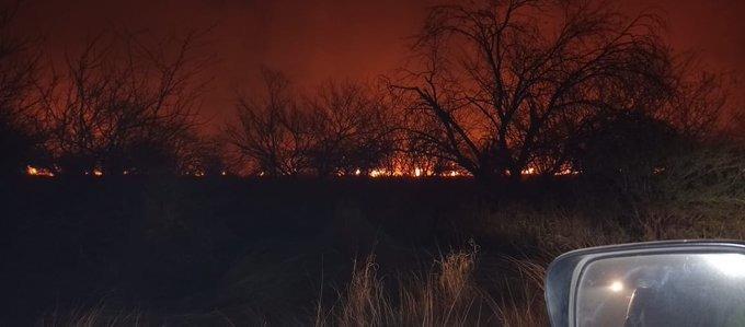 Incendio en Sonora arrasa con mil 600 hectáreas de pastizal
