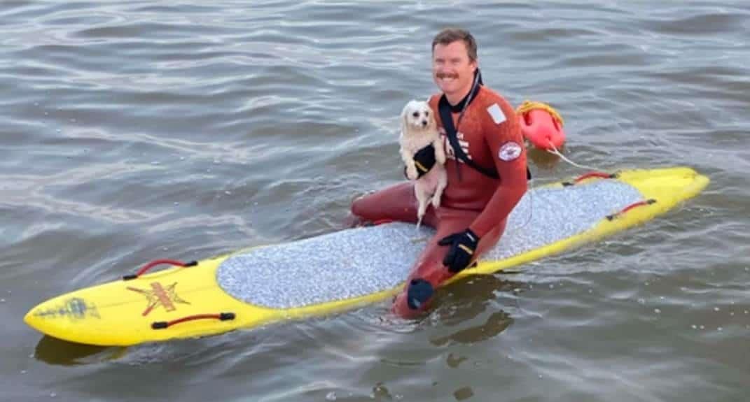 Socorrista salva a perro que nadaba mar adentro