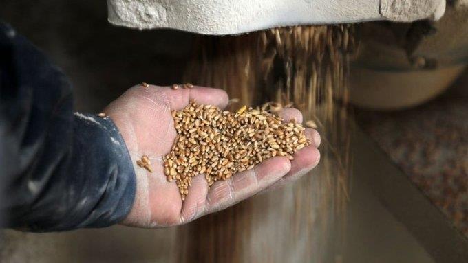 Aceptaría Rusia ampliar acuerdo de cereales sólo por 60 días