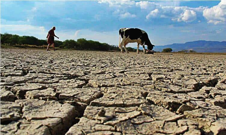 "La falta del agua es un problema mundial"
