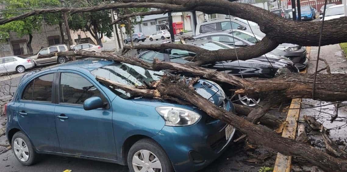 Viento derriba árbol y cae sobre autos en San Jerónimo