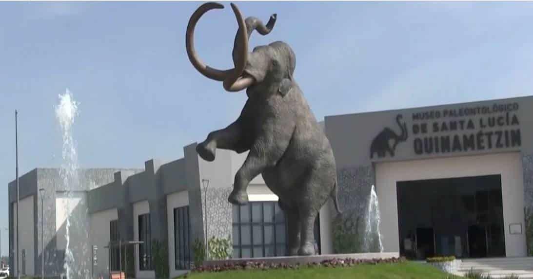 Participa para darle nombre al mamut de Museo de Santa Lucia