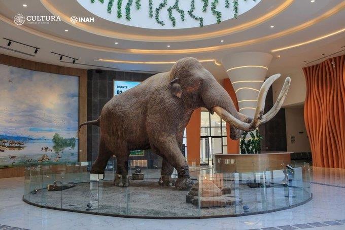 Participa para dar nombre al mamut del Museo de Santa Lucía