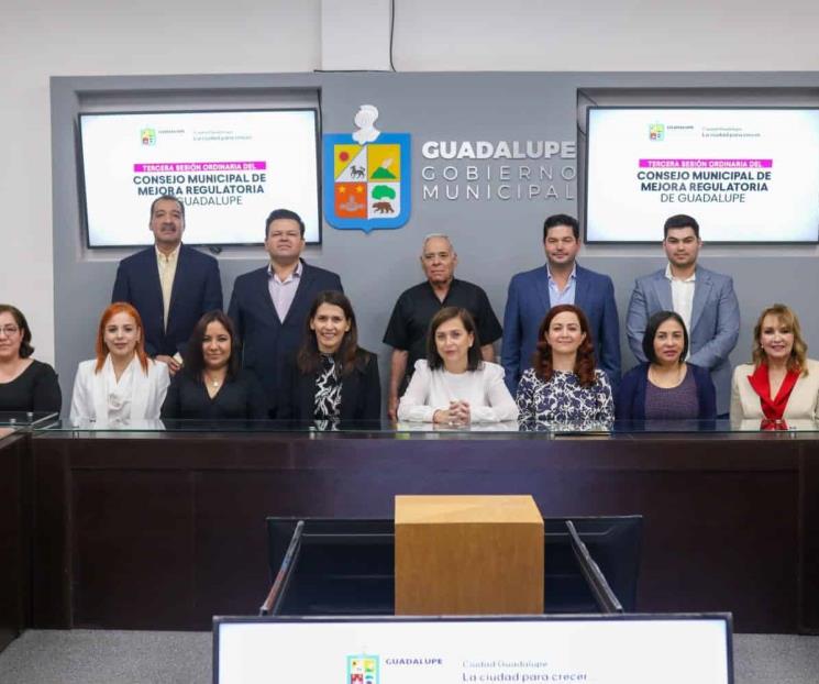 Aprueban Programa Anual de Mejora Regulatoria de Guadalupe