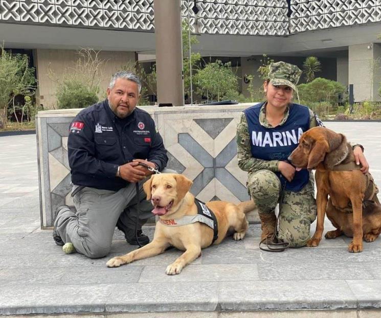Reconocen a perros de rescate de Nuevo León en la CDMX