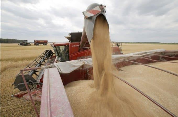 Busca ONU se mantenga acuerdo de cereales de Ucrania