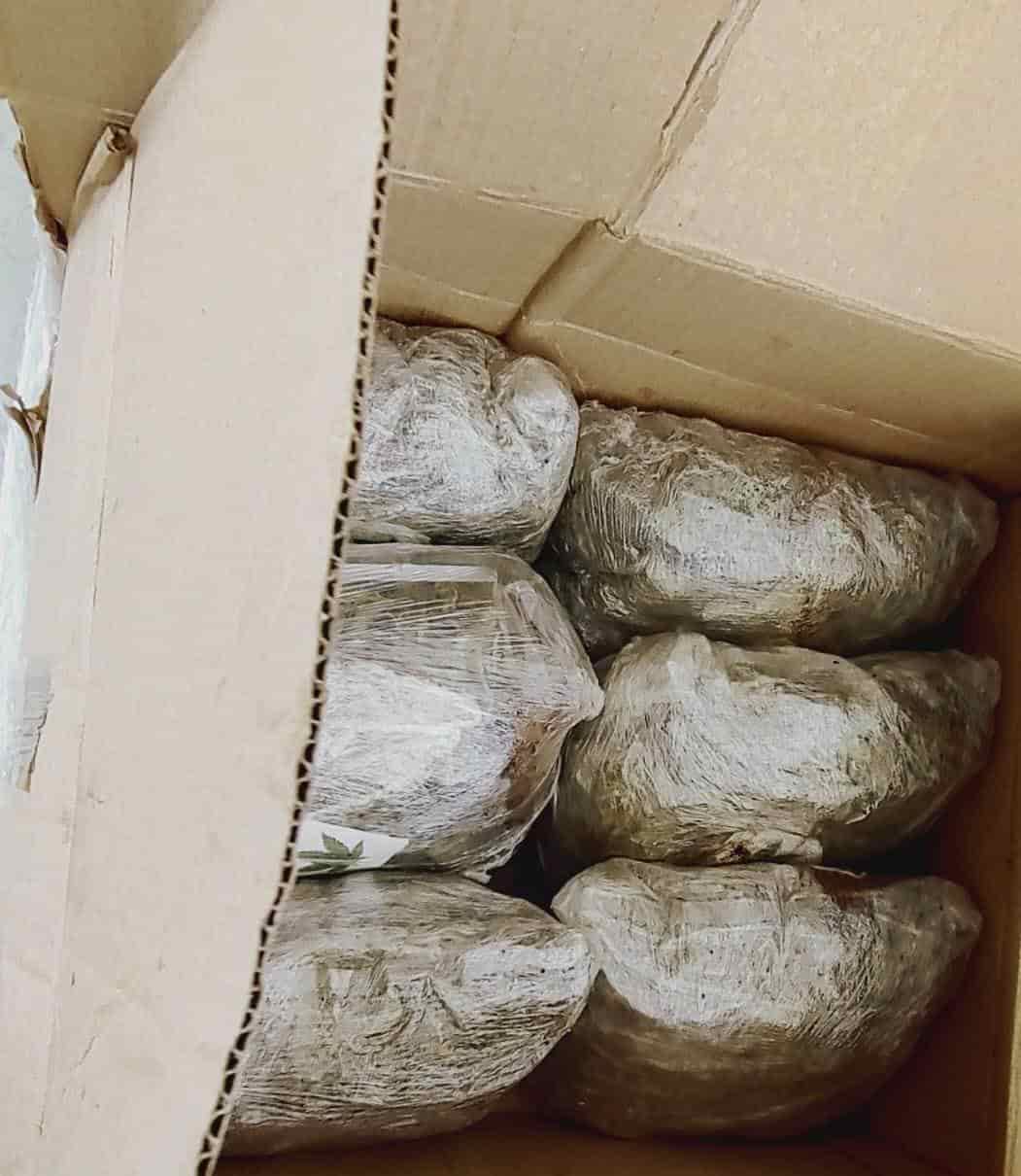 Elementos de la Guardia Nacional, lograron el decomiso de 16 paquetes de droga que venían ocultos entre cajas de cartón, que simulaban contener frascos vacíos