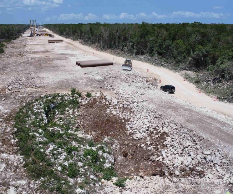 Oposición denuncia ecocidio por construcción del Tren Maya