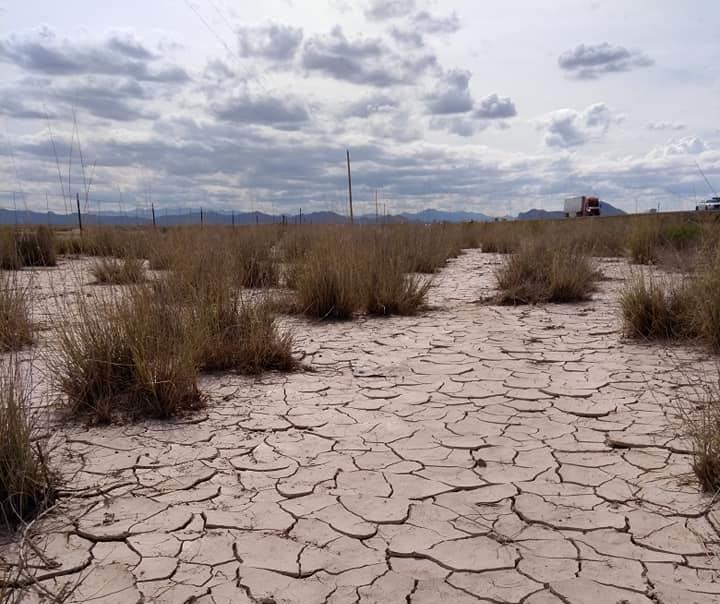 Invitan a conocer la riqueza del desierto