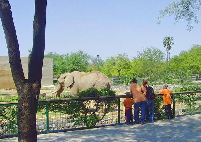 Descartan cierre de zoológico La Pastora