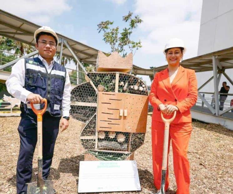 Inaugura Nuevo León primer museo de árboles
