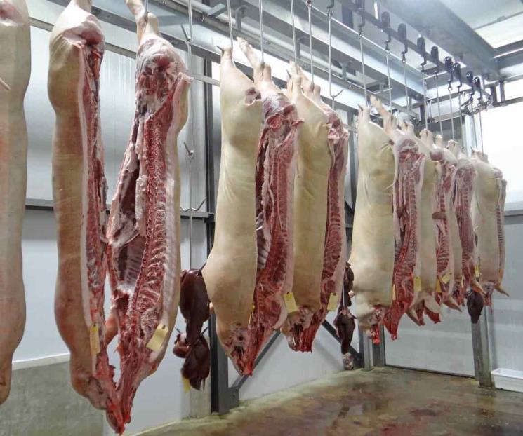 Baja costo de producción de carne de cerdo