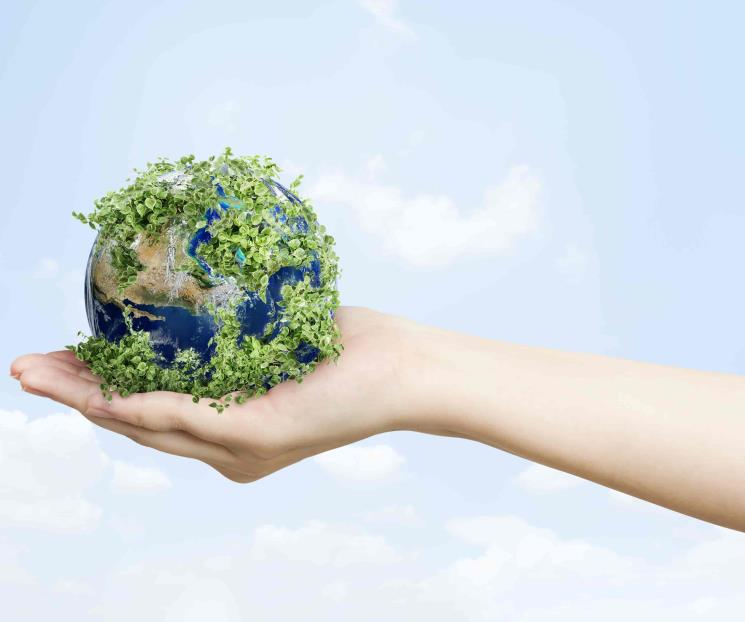 Día Mundial del Medio Ambiente: ¿Cómo apoya Nuevo León?