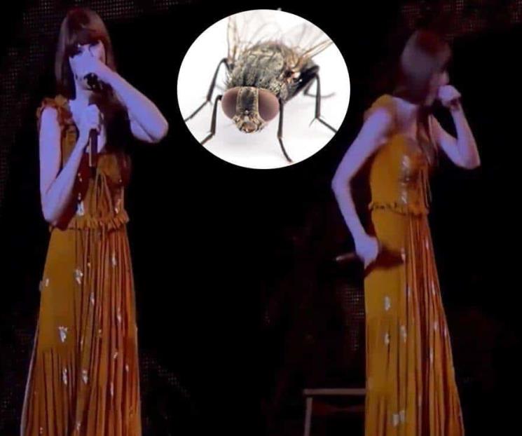 Taylor Swift se traga insecto en pleno concierto en vivo