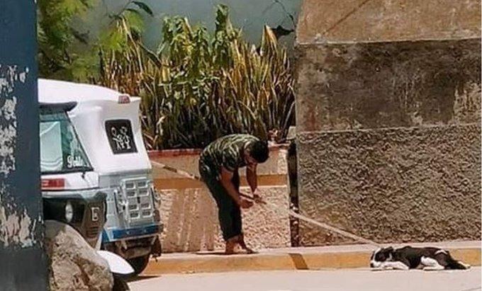 Hombre mata a perro por quitarle comida a su hija en Oaxaca