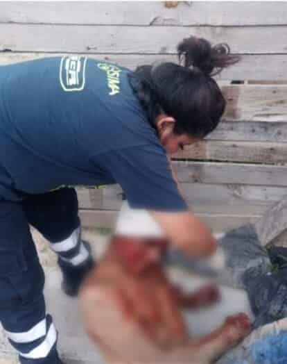 Un hombre termino con lesiones de consideración, al ser atacado con un machete, cuando se resistió a ser asaltado en calles de la colonia Vistas del Río, del municipio de Juárez