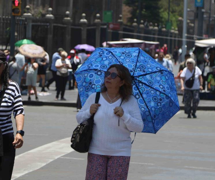 Ola de calor podría seguir 15 días más: UNAM