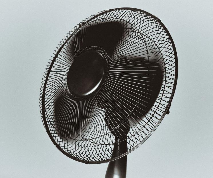 Los mejores ventiladores para esta ola de calor: Profeco