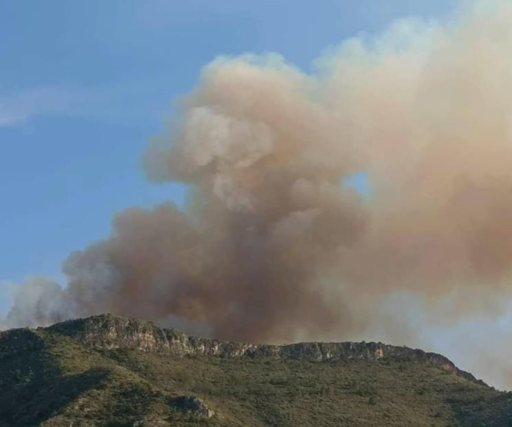 Provoca ola de calor los primeros incendios forestales
