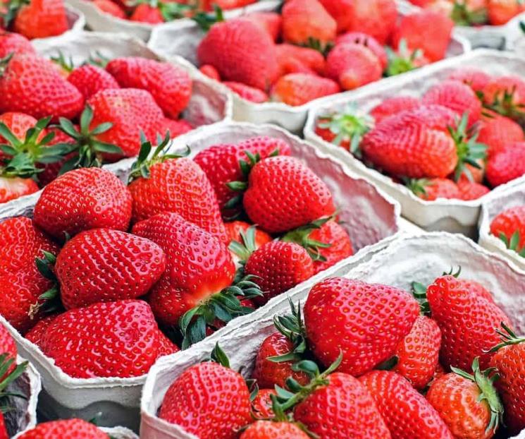 Dónde se venden las fresas más caras y baratas del país