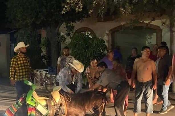 El atropello de un caballo por una camioneta movilizó a las autoridades en el municipio de Linares.