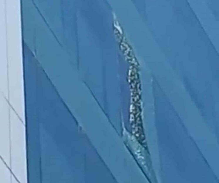 Alarma caída de vidrios desde ventanal en el Centro